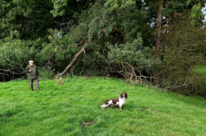 a beater  sending his dog for a retrieve 