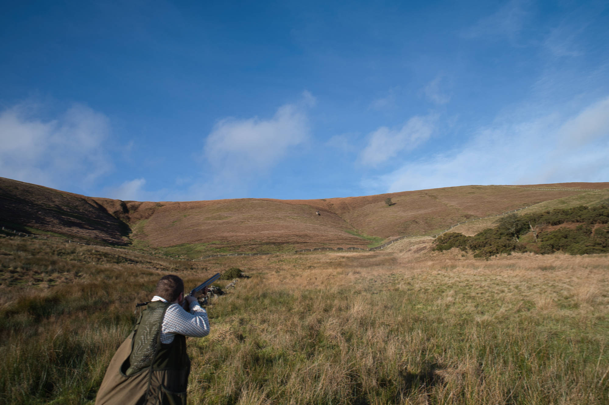 one of the shoot team locks on to a far flying pheasant and nails the shot