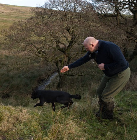 A dog handler  sending his dog for a difficult retrieve 